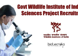 Govt Wildlife Institute of India Life Sciences Project Recruitment WII Life Science