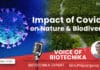 COVID-19 Impact on Nature