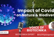Impact of COVID-19 on Nature & Biodiversity – Voice of Biotecnika COVID-19 Impact on Nature