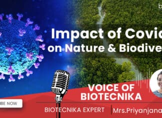 Impact of COVID-19 on Nature & Biodiversity – Voice of Biotecnika COVID-19 Impact on Nature