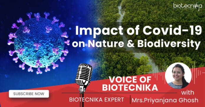 COVID-19 Impact on Nature