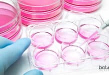 ACTREC Junior Project Fellow Job For Biotech & Life Sciences ACTREC Project Staff Recruitment