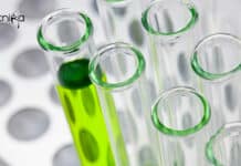 BHU Molecular Biology Unit Project Assistant Job Opening BHU Project Assistant