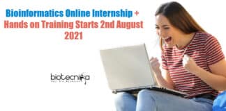 Bioinformatics Internship Online