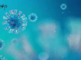 CUR Microbiology