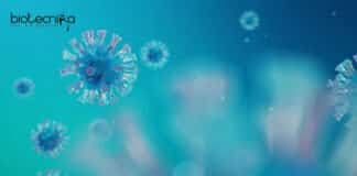 CUR Microbiology