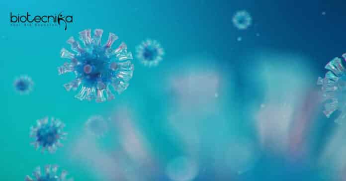 CUR Microbiology