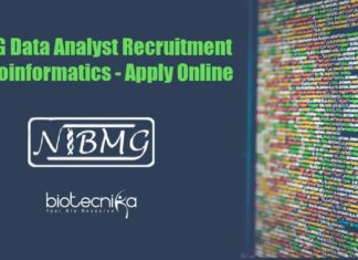 Data Analyst Jobs