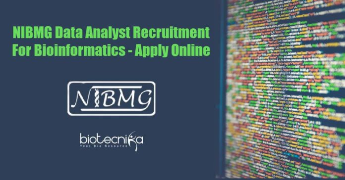 Data Analyst Jobs