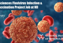 Life Sciences Flavivirus Infection & Vaccination Project Job at NII Life Science PhD Research