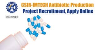 IMTECH Project Vacancyy