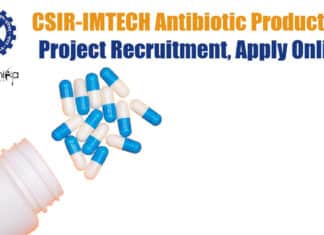 IMTECH Project Vacancyy