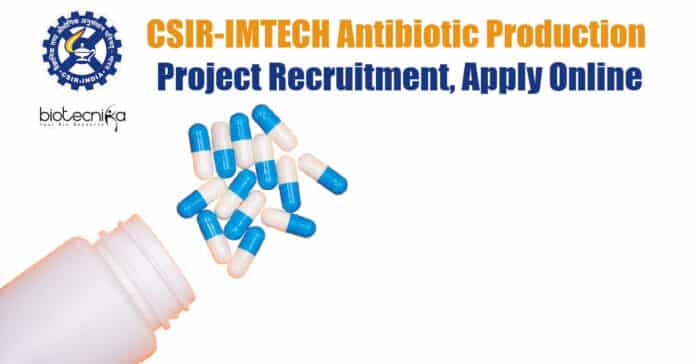 IMTECH Project Vacancyy