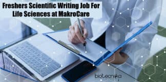 Freshers Scientific Writing Job