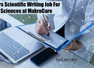 Freshers Scientific Writing Job