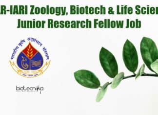 IARI Zoology JRF