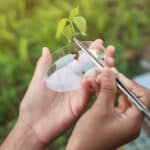 ICAR-NBPGR Plant Biotechnology