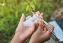 ICAR-NBPGR Plant Biotechnology Junior Research Fellow Recruitment ICAR-NBPGR Plant Biotechnology