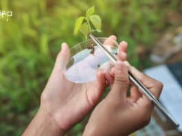 ICAR-NBPGR Plant Biotechnology