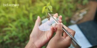 ICAR-NBPGR Plant Biotechnology