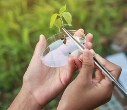 ICAR-NBPGR Plant Biotechnology