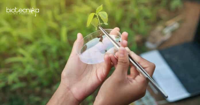 ICAR-NBPGR Plant Biotechnology