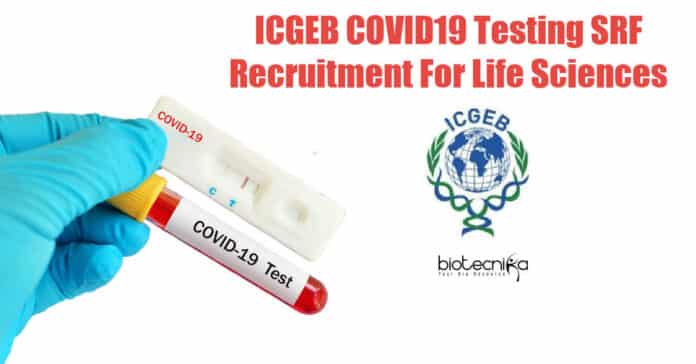 ICGEB COVID-19 Lab Jobs