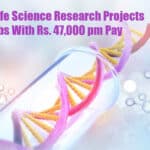 NIMR Life Science Research Projects Jobs With Rs. 47,000 pm Pay ICMR NIMR Jobs