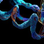 IISER Bhopal Proteomics Project JRF Vacancy For Life Science & Biotech IISER Bhopal JRF