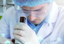 Life Science IISER Bhopal Project JRF Job Opening IISER Bhopal Project JRF