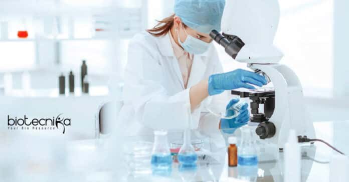 IISER Kolkata JRF Project