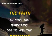 Biotecnika Times – Newsletter 08.07.2021 – DBT BET & GAT-B 2021 Notification, DST-Women