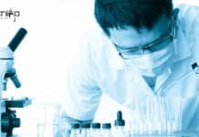Junior Research Fellowship at