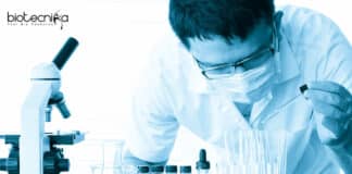 Junior Research Fellowship at