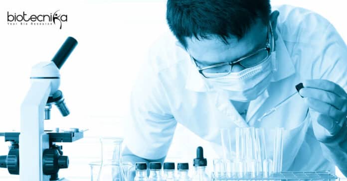 Junior Research Fellowship at