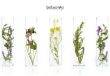 KFRI Project Fellow Job Opening For Botany Candidates KFRI Botany Job