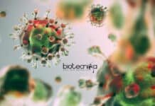 King George’s Medical University PhD Positions Available – Life Sciences Apply KGMU PhD Positions