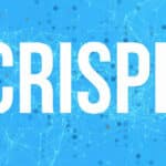 Kalyani University PhD Research