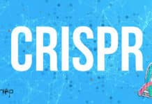 Kalyani University PhD Research Associate Job Opening Kalyani University PhD Research