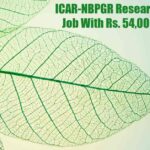 ICAR-NBPGR Research Associate Job With Rs. 54,000 pm Salary NBPGR Research Associate