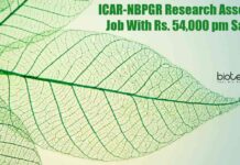 ICAR-NBPGR Research Associate Job With Rs. 54,000 pm Salary NBPGR Research Associate