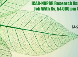 NBPGR Research Associate