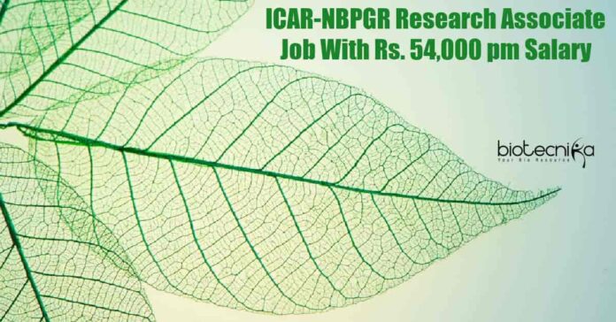 NBPGR Research Associate