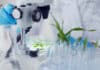 CSIR-NBRI Plant Science & Botany Project Associate Job Openings NBRI Plant Sciences