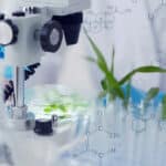 NBRI Plant Sciences