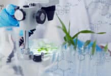 CSIR-NBRI Plant Science & Botany Project Associate Job Openings NBRI Plant Sciences