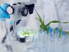 NBRI Plant Sciences