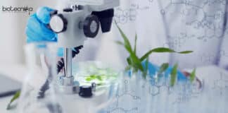 NBRI Plant Sciences