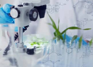 NBRI Plant Sciences