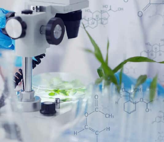 NBRI Plant Sciences